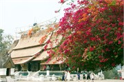 14607_Luang Prabang